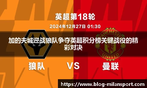 加的夫城迎战狼队争夺英超积分榜关键战役的精彩对决